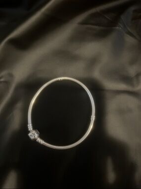 Pandora Moments Snake Chain Bracelet